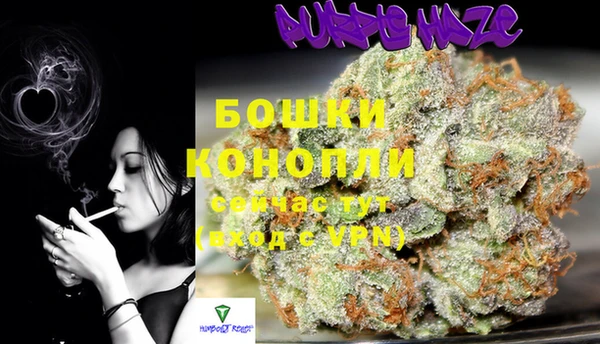 СК Магадан