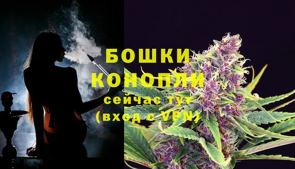 мяу мяу мука Магас