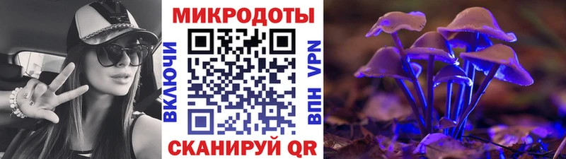 Галлюциногенные грибы мухоморы цены Устюжна